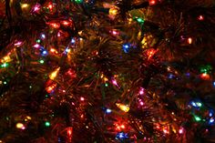 a close up view of a christmas tree with multicolored lights on it's branches