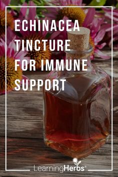 Tincture Recipes, Herb Remedies, Spring Allergies, Mountain Rose Herbs, Gum Care, Natural Cold Remedies