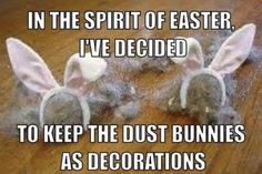 two stuffed bunnies sitting on top of a wooden floor with the caption in the spirit of easter, i've decided to keep the dust bunnies as decorations