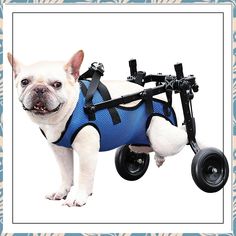 Huimpet Dog Wheelchair for Back Legs, Dog Wheelchair for Small Dog, Adjustable Pets Cart with Wheels, Doggy Wheelchairs for D Bicycle Trailers, Dog Wheelchair, Reflective Dog Harness, Dog Leg, Walking Harness, Leg Braces, Mobility Aids, Dog Help, Older Dogs