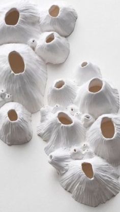 several white shells with holes in them on a table next to some brown and white paper