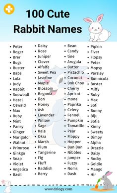 Rabbit Names Cute Pet Names, Turtle Names, Hamster Names, Rabbit Names, Pet Bunny Rabbits, Bunny Names, Bunny Care, Bunny Mom, Cute Bunny Pictures