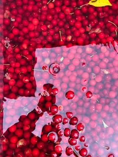 cherries are floating in water on the ground