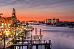 the city lights shine brightly at night on the water's edge, with palm trees in the foreground