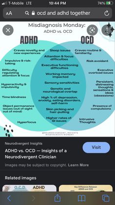 Object Permanence, Working Memory, Sleep Issues, Executive Functioning, Behavioral Health, Personal Health, Work Ideas, New Experience, Mindfulness