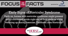 a horse with the words, focus on the fact'early signs of navricular syndrome