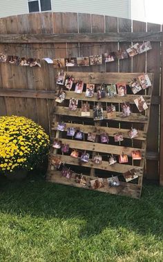 a wooden pallet with pictures on it and flowers in the yard next to it