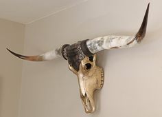 an animal skull mounted on the wall