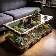 a glass table with succulents and plants on it in front of a couch