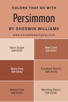 Colors that Go With Persimmon SW 6339 by Sherwin Williams Terracotta Paint Sherwin Williams, Decorous Amber Sherwin Williams, Red Cent Sherwin Williams, Sw Coral Clay, Sw Baked Clay, Sherwin Williams Warming Peach, Soft Apricot Sherwin Williams, Red Clay Paint Color, Sw Terra Cotta Colors