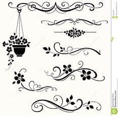 floral design elements stock photo image