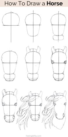 how to draw a horse's head with different angles and hair styles, including the nose