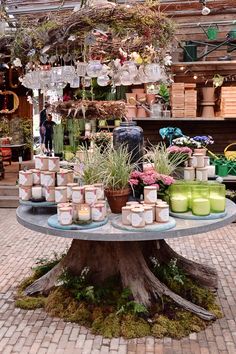 a table topped with jars filled with plants and candles on top of a brick floor