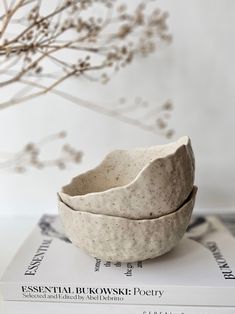 two white bowls sitting on top of each other next to a book and some branches