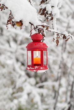 a red lantern hanging from a tree covered in snow