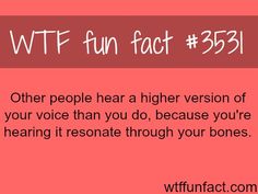 omg i hear my voice so high so everyone else must hear it like a squeak lololololol Deeper Voice, Scary Mary, Random Facts, Tech Tips, Brain Activities, Interesting Information, Amazing Facts