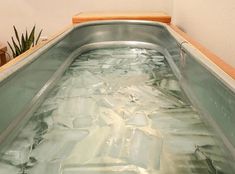 an indoor hot tub filled with water next to a potted plant