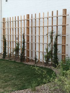 a wooden trellis next to a white brick wall with green plants growing on it