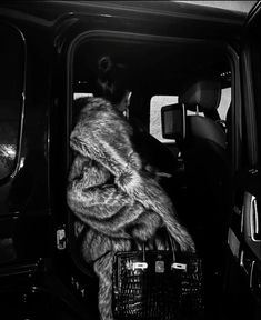 a woman sitting in the back of a van with her purse and fur coat on