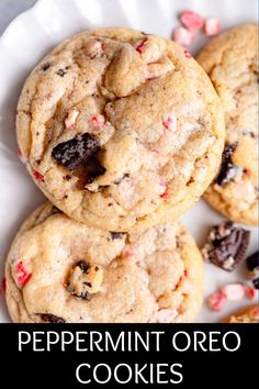 peppermint oreo cookies on a white plate