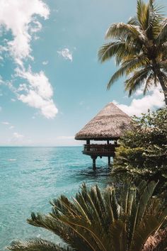 an over head view of the ocean with palm trees and a hut in the foreground