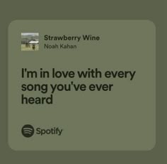 i'm in love with every song you've ever heard by strawberry wine