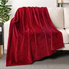 a couch with a red blanket on it next to a potted plant in a living room