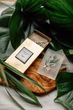 an empty box sitting on top of a wooden tray next to green plants and leaves