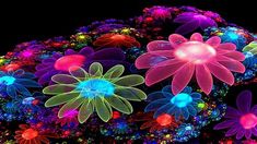 an image of flowers that are glowing in the dark