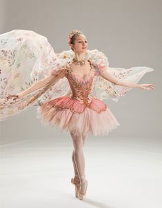 the ballerina is dressed in pink and gold