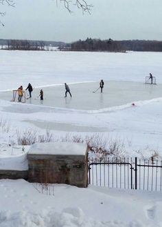 several people are playing on an ice rink in the middle of winter, with snow covering the ground