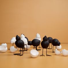 a group of black and white birds standing next to each other on top of a table