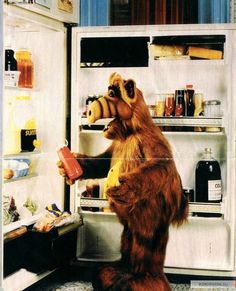 a stuffed animal is standing in front of an open refrigerator with the words, what is your favorite alf moment?