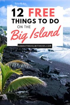 a beach with palm trees and the words 12 free things to do on the big island