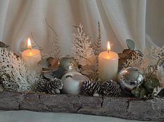 some candles are sitting on a log with pine cones