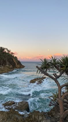 the sun is setting over the ocean with rocks and trees in front of it,