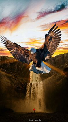 an eagle is flying over a waterfall at sunset