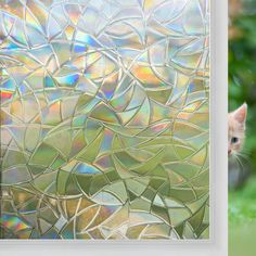 a cat sitting in front of a stained glass window with green grass and trees behind it