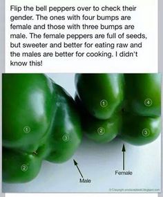 an advertisement with green peppers on it and the words, flip the bell peppers over to check their gender