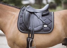 a close up of a horse's saddle and bridle