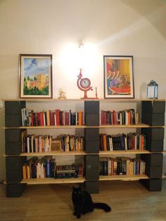 a black cat sitting on the floor in front of a book shelf filled with books