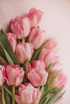 a bunch of pink tulips are arranged in a row on a white surface