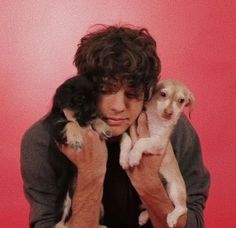 a man holding two puppies in his arms against a pink background with the caption's name on it