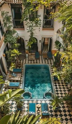 an indoor swimming pool surrounded by greenery and potted plants is seen from above