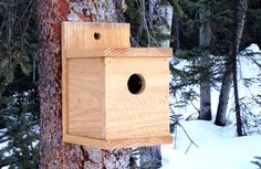 a birdhouse hanging from the side of a tree in the snow near some trees