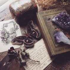 an old book and some flowers on a wooden table with rocks, plants and other items