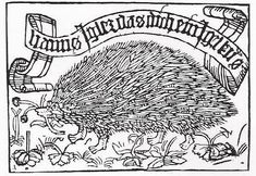 an ink drawing of a hedgehog with a banner above it that says,'time after christmastime '