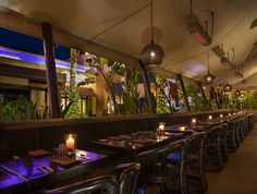 the restaurant is decorated with plants and lit up by candlelightes on the tables