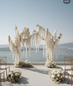 an outdoor ceremony setup with white flowers and pamolite trees on the side of the aisle