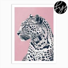 a black and white photo of two leopards against a pink background